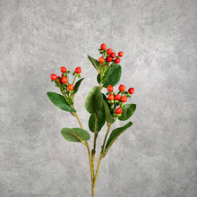 Load image into Gallery viewer, Hypericum Red 67cm
