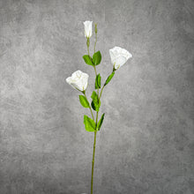 Load image into Gallery viewer, Lisianthus White 72cm
