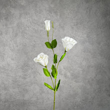 Load image into Gallery viewer, Lisianthus White 72cm
