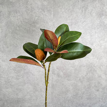 Load image into Gallery viewer, Magnolia With Buds 79cm

