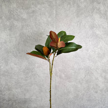 Load image into Gallery viewer, Magnolia With Buds 79cm
