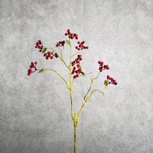 Load image into Gallery viewer, Berrybranch Red 77cm
