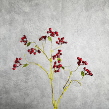 Load image into Gallery viewer, Berrybranch Red 77cm
