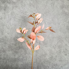 Load image into Gallery viewer, Eucalyptus Seeded Pink 70cm
