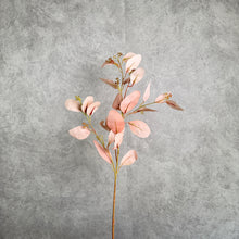 Load image into Gallery viewer, Eucalyptus Seeded Pink 70cm
