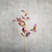 Load image into Gallery viewer, Eucalyptus Seeded pale burgundy 70cm
