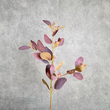 Load image into Gallery viewer, Eucalyptus Seeded pale burgundy 70cm
