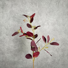 Load image into Gallery viewer, Eucalyptus Seeded Burgundy 70cm
