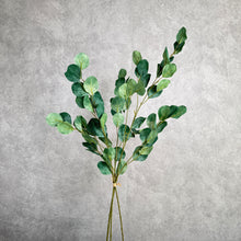 Load image into Gallery viewer, Eucalyptus Bunch 104cm
