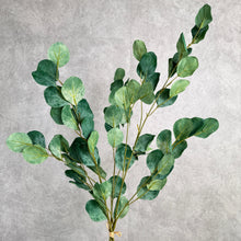 Load image into Gallery viewer, Eucalyptus Bunch 104cm
