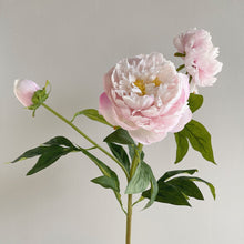 Load image into Gallery viewer, Peony 3 Heads Artificial Silk Flower Stem 5 color Selections
