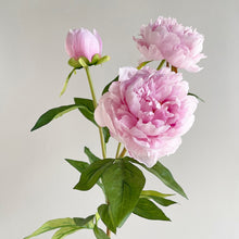 Load image into Gallery viewer, Peony 3 Heads Artificial Silk Flower Stem 5 color Selections
