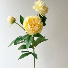 Load image into Gallery viewer, Peony 3 Heads Artificial Silk Flower Stem 5 color Selections
