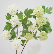 Load image into Gallery viewer, Snowball 5 Heads Artificial Silk Flower 78cm SNOWBALL001-003
