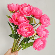 Load image into Gallery viewer, Peony Single Heads Artificial Flower Coral PEONY0011
