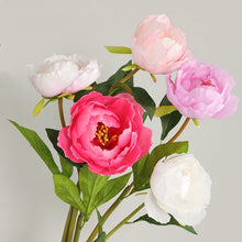 Load image into Gallery viewer, Peony Single Heads Artificial Flower Pink PEONY0010
