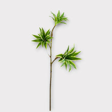 Load image into Gallery viewer, Dracaena Artificial Silk Flowers Green DRACAENA001
