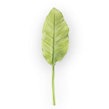 Load image into Gallery viewer, Musa Basjoo Artificial Greenery Giant MUSABASJOO001
