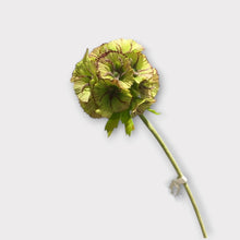 Load image into Gallery viewer, Pristimera Cambodiana Artificial Flower Blush Green PRISTIMERACAMBODIANA001
