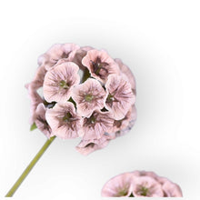 Load image into Gallery viewer, Pristimera Cambodiana Artificial Flower Blush Pink PRISTIMERACAMBODIANA003
