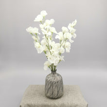 Load image into Gallery viewer, White Sweet Pea
