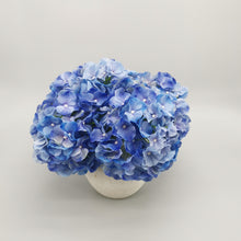 Load image into Gallery viewer, Blue Rest
