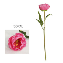 Load image into Gallery viewer, Peony Single Heads Artificial Flower Coral PEONY0011
