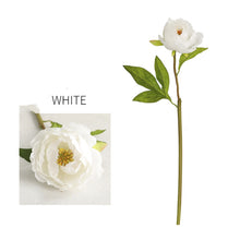Load image into Gallery viewer, Peony Single Heads Artificial Flower White PEONY0009
