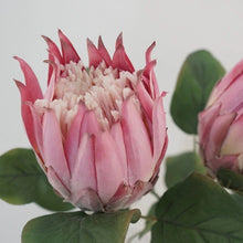Load image into Gallery viewer, Protea Artificial Silk Flower 67cm Stem PROTEA001-0011
