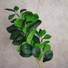 Load image into Gallery viewer, Greenery 66cm
