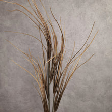 Load image into Gallery viewer, Onion Grass 103cm
