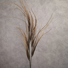Load image into Gallery viewer, Onion Grass 103cm
