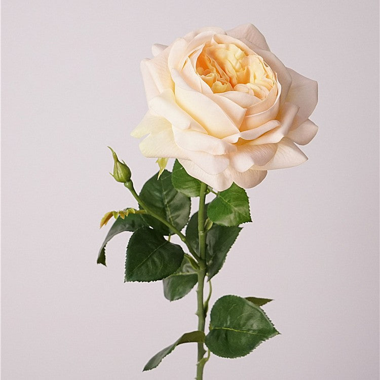 Austin Rose Realtouch Artificial Flowers Peach ROSEAUSTIN0011