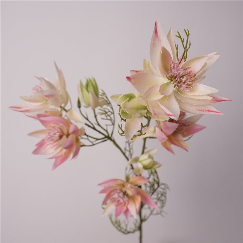 Serruria Florida Artificial Flowers Vari Pink Green SERRURIA FLORIDA001
