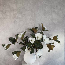 Load and play video in Gallery viewer, White Magnolia Arrangement | Custom Stem Quantity &amp; Vase Selection
