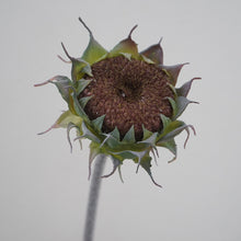 Load image into Gallery viewer, Sunflower Artificial Silk Flower 3 Color Selection SUNFLOWER002-005
