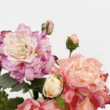 Load image into Gallery viewer, Peony 2 Heads Artificial Silk Flower 58cm Stem PEONY028-031
