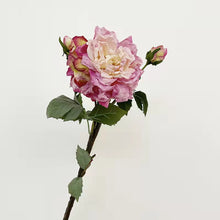 Load image into Gallery viewer, Peony 2 Heads Artificial Silk Flower 58cm Stem PEONY028-031
