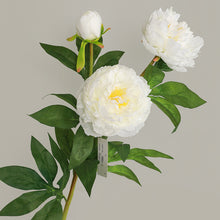 Load image into Gallery viewer, Peony 3 Heads Artificial Silk Flower Stem 5 color Selections
