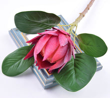 Load image into Gallery viewer, Protea Artificial Silk Flowers 55cm Stem PROTEA009-013
