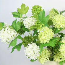 Load image into Gallery viewer, Snowball 5 Heads Artificial Silk Flower 78cm SNOWBALL001-003
