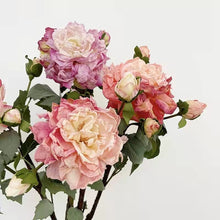 Load image into Gallery viewer, Peony 2 Heads Artificial Silk Flower 58cm Stem PEONY028-031
