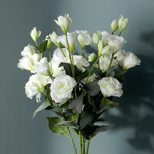 Load image into Gallery viewer, Lisianthus Artificial Silk Flower 70cm Stem LISIAN009-012
