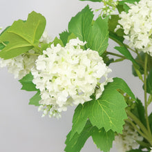 Load image into Gallery viewer, Snowball 5 Heads Artificial Silk Flower 78cm SNOWBALL001-003
