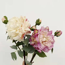Load image into Gallery viewer, Peony 2 Heads Artificial Silk Flower 58cm Stem PEONY028-031
