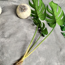 Load image into Gallery viewer, Monstera Deliciosa Artificial Foliage Bunch GREENERY0007
