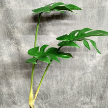 Load image into Gallery viewer, Monstera Deliciosa Artificial Foliage Bunch GREENERY0007
