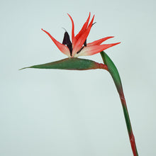 Load image into Gallery viewer, Strelitzia Bird of Paradise Artificial Silk Flower Stem Red STRELITZIA001
