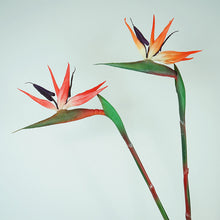 Load image into Gallery viewer, Strelitzia Bird of Paradise Artificial Silk Flower Stem Red STRELITZIA001
