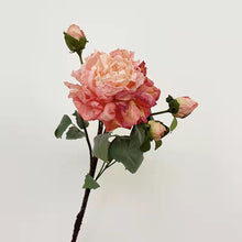 Load image into Gallery viewer, Peony 2 Heads Artificial Silk Flower 58cm Stem PEONY028-031
